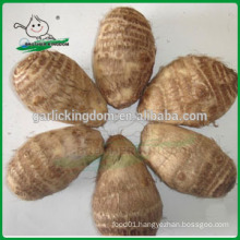 New fresh taro/Natural taro/new crop Chinese taro